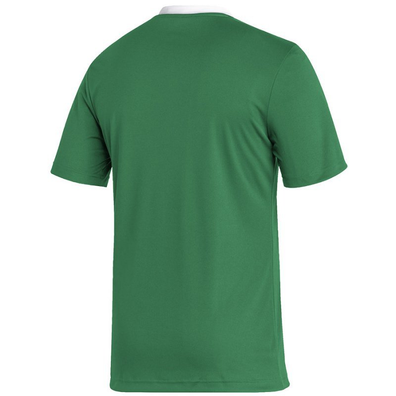 Koszulka adidas ENTRADA 22 JSY Y HI2123 zielony M