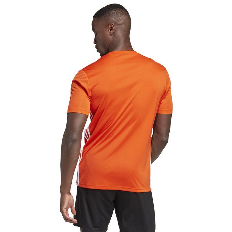 Koszulka adidas Tabela 23 IB4927 pomarańczowy XXL