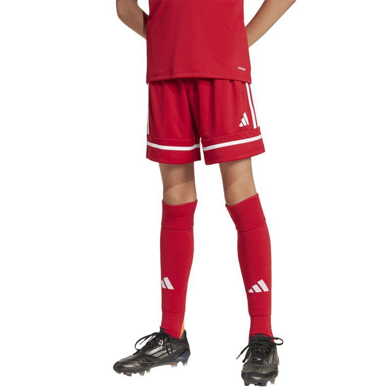 Spodenki adidas SQUADRA 25 JN5456 czerwony 176 cm