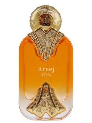 nabeel areej