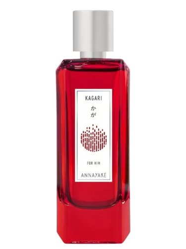 annayake kagari for him woda toaletowa 100 ml  tester  
