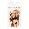 Penthouse Double spice black PENTHOUSE