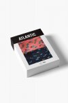 Atlantic 2MHH-005 2-pack bielizna majtki bokserki