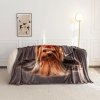 Koc Cotton World Touch Animal, Motor 160x200
