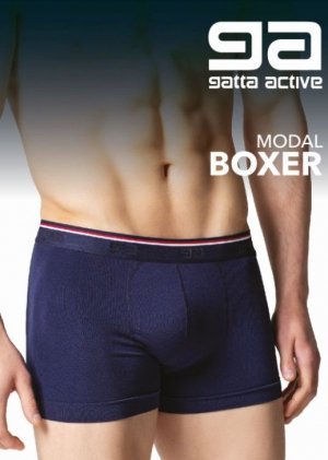 Gatta 1 SZORTY GATTA BOXER MODAL PROMO