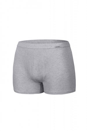 Cornette Bokserki Authentic mini 223 melanżowy szary