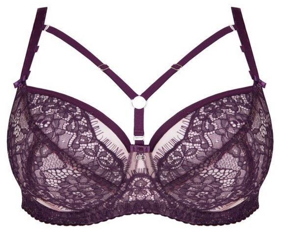 Biustonosz soft Gorsenia K 801 Violet - WYSYŁKA 24H
