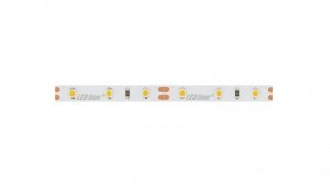 Taśma LED line 300 SMD3528 12V 10000-13000K 240195/5m/