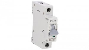 Wyłącznik nadprądowy 1P C 6A 6kA AC xPole Home HN-C6/1 194828