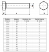 ŚRUBA A2 M 10 X 60 82105 OP.1SZT