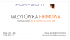 Wizytówki foliowane Soft Skin 3D-UV, druk dwustronny kolorowy 4+4, UV 3D 1+1, papier kredowy mat 350 g - 1000 szt.