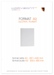 plakat A3, druk pełnokolorowy jednostronny 4+0, na papierze kredowym mat, 350 g - 1000 sztuk