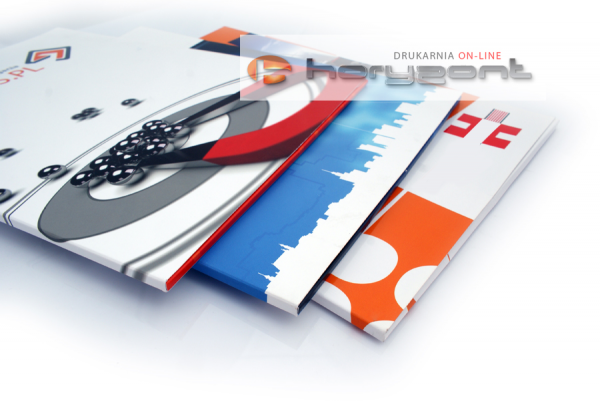 Teczka Standard+ DG10, 539 x 389 mm, grzbiet 10 mm bez folii, - 150 sztuk