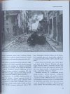 Rupert Butler SS Leibstandarte - fragment