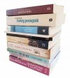 10x LITERATURA OBYCZAJOWA David Nicholls - Walczak-Chojecka - Makis i inni