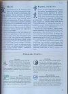 Man Ho Kwok  Astrologia chińska - fragment