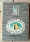 Juliusz Verne • Wokół Księżyca | Daniel Mróz - okładka