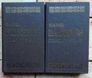 Karol Bunsch - Dzikowy skarb | Powieści Piastowskie