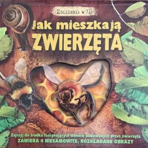 Barbara Taylor • Jak mieszkają zwierzęta 3D