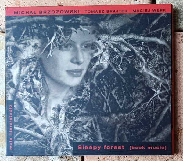 Michał Brzozowski, Tomasz Brajter, Maciej Werk • Sleepy Forest (book music) • CD