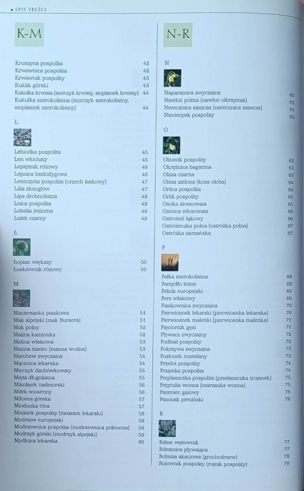 Renata Kosińska, Marek Kosiński  Rośliny Polski | Ilustrowana encyklopedia od A do Z - spis treści