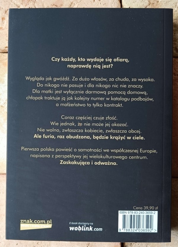 Grażyna Plebanek • Pani Furia - okładka