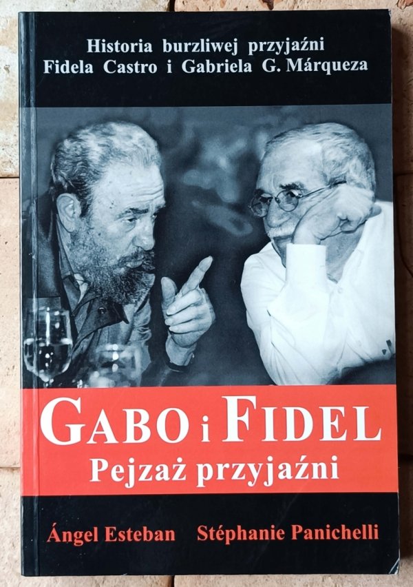 Angel Esteban Gabo i Fidel. Pejzaż przyjaźni - okładka
