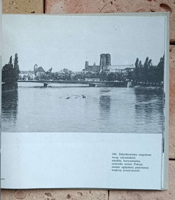 Maciej Łagiewski - Mosty Wrocławia
