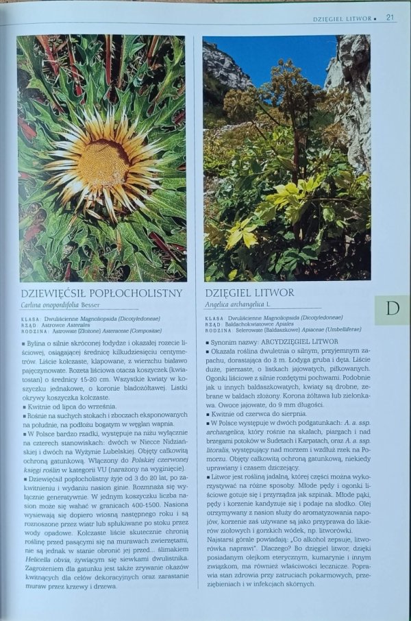 Renata Kosińska, Marek Kosiński  Rośliny Polski | Ilustrowana encyklopedia od A do Z - fragment
