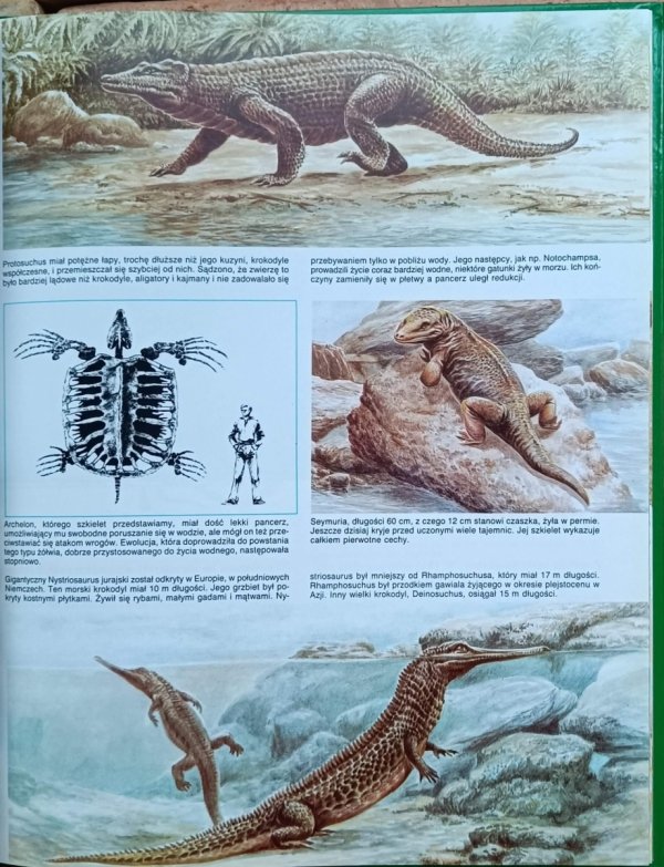 Michel Cuisin - Prehistoria | Tajemnice zwierząt - fragment