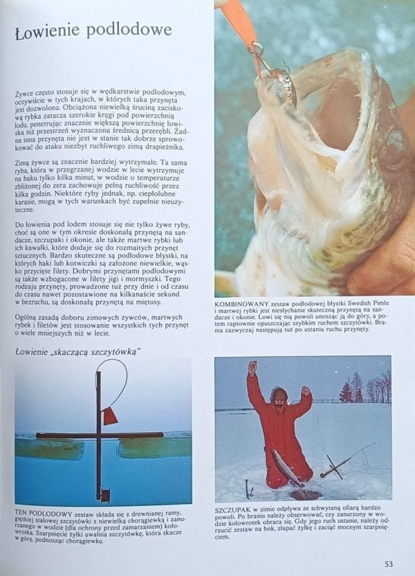 Dick Sternberg Łowienie na przynęty żywe - fragment