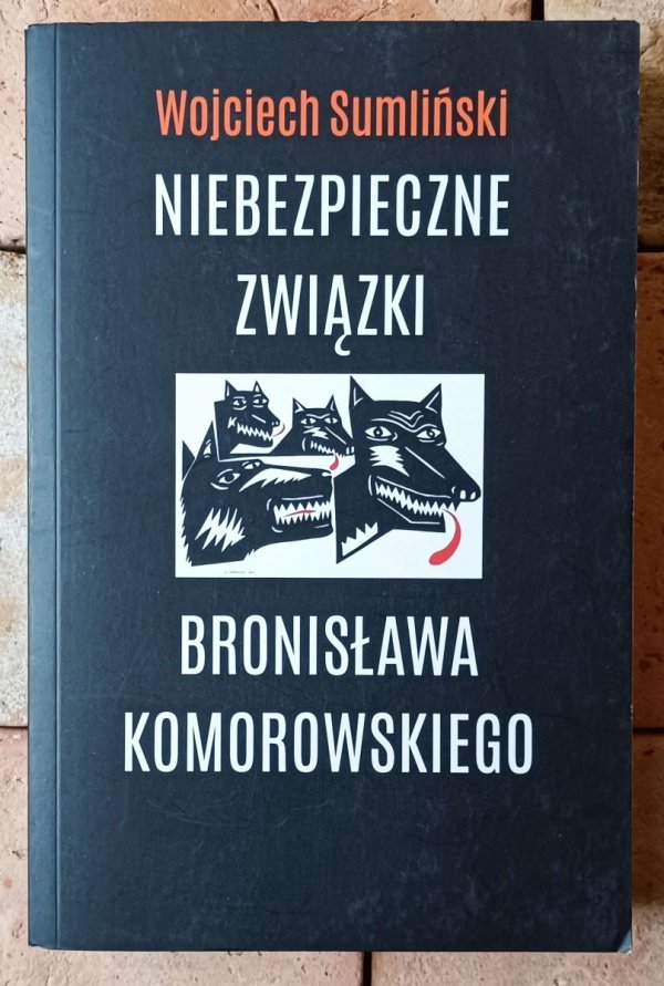 Wojciech Sumliński x6 Niebezpieczne związki Leppera - Petelickiego - Zapis zarazy i inne - okładka