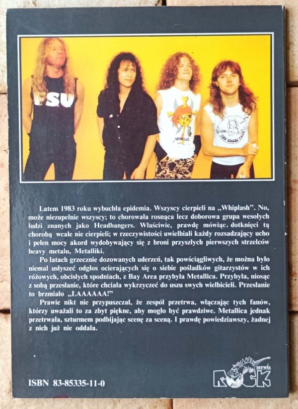 Eddie McSquare  Metallica - Biczowanie dźwiękiem  - okładka