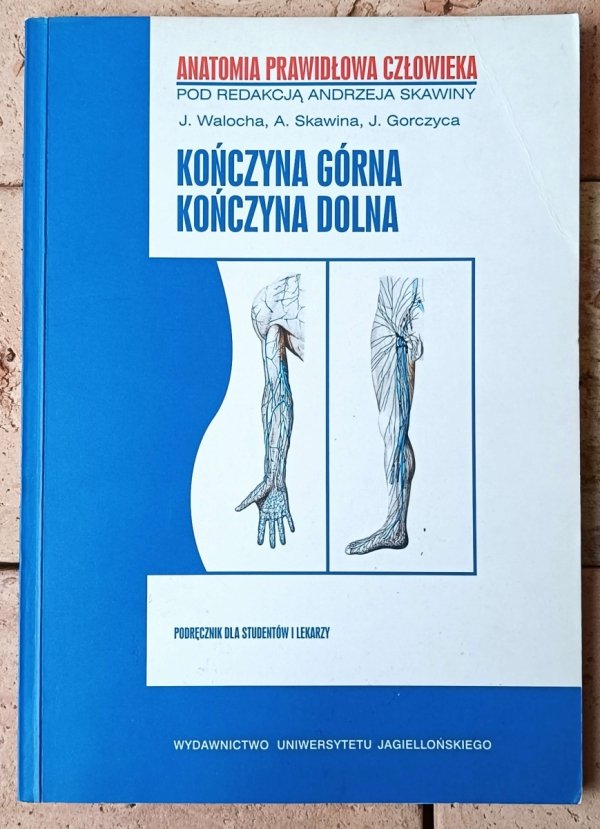 Andrzej Skawina • Anatomia prawidłowa człowieka. 5 tomów - okładka