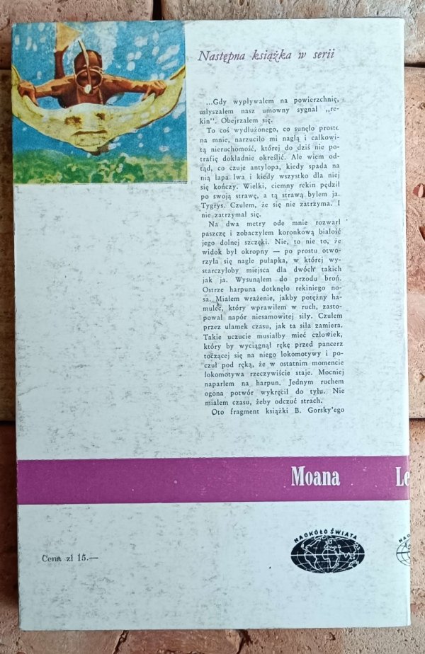 Mieczysław Lepecki Niknący świat [Naokoło świata] - okładka
