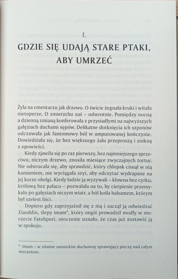 Arundhati Roy • Ministerstwo niezrównanego szczęścia