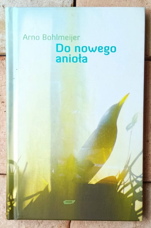 Arno Bohlmeijer  Do nowego anioła - okładka