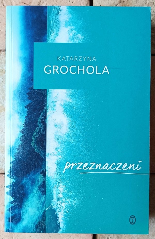 Katarzyna Grochola • Przeznaczeni - okładka