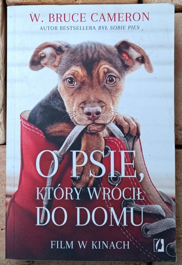 Okładka książki O psie, który wrócił do domu autorstwa Bruce Cameron
