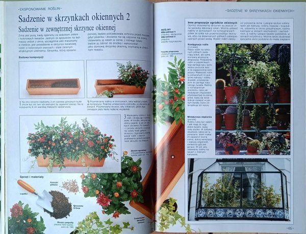 John Brookes Wielka księga kwiatów. Sztuka kompozycji i pielęgnowania - ilustracje