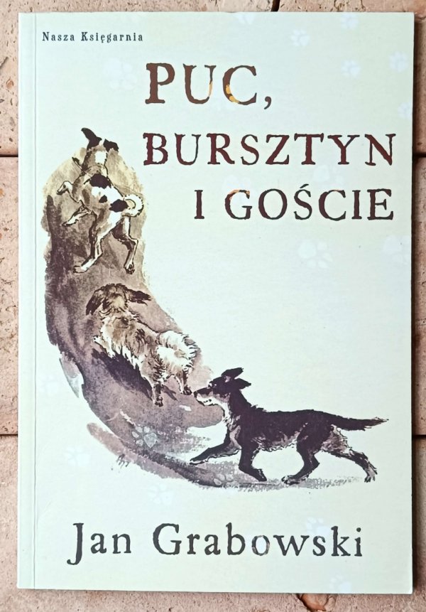 Jan Grabowski  Puc, Bursztyn i goście - okładka