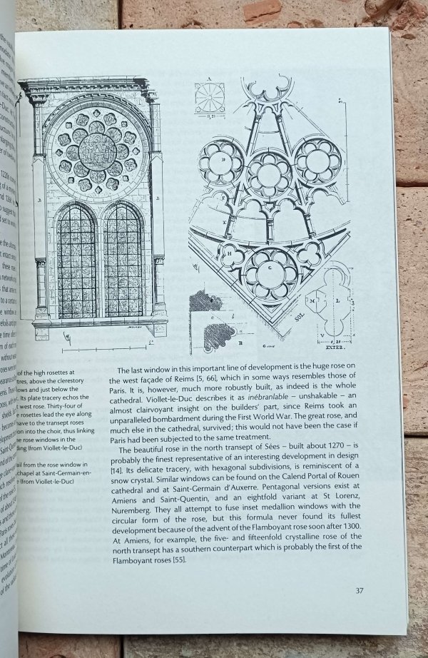 Painton Cowen - Rose Windows