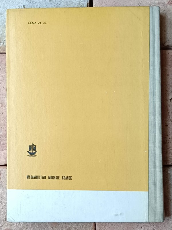 George Bidwell Saga rodu Hawkinsów - okładka