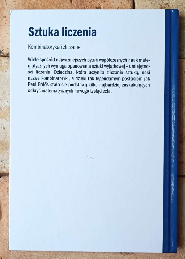 Juanjo Rue • Sztuka liczenia. Kombinatoryka i zliczanie - okładka