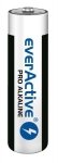 Lr6 10Pak Everactive Pro Alkaline