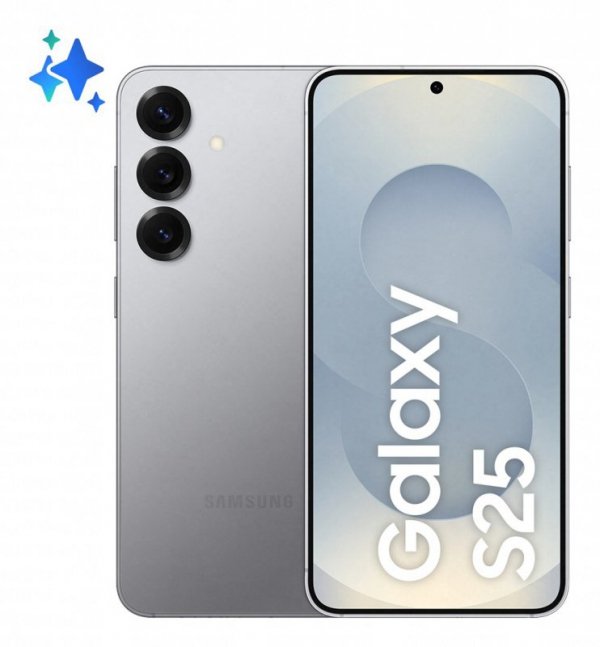 Samsung Galaxy S25 (S931) 5G DS 12/256GB Silver