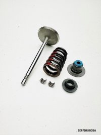 Intake Valve Kit for Dodge RAM 1500 DR 4.7L 2002-2007 EEP/DR/005A 