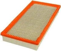 Filtr powietrza CA3901 Raider 2006-2007 3.7 L. 4.7 L. 