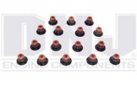 Uszczelniacze zaworowe (komplet na silnik 16 szt) Excursion 00-05 5,4l 