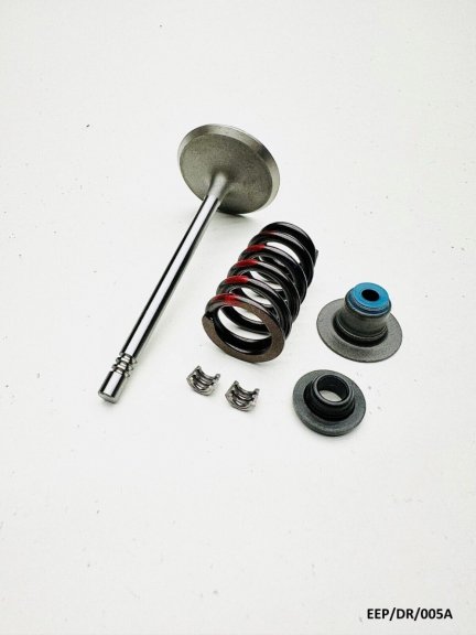 Intake Valve Kit for Dodge RAM 1500 DR 4.7L 2002-2007 EEP/DR/005A
